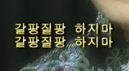 갈팡질팡하지마(갈광질광,트위치)