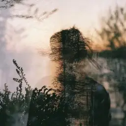 KUČKA - Honey (MEDASIN Redo) (잔잔, 신비, 몽환, 쓸쓸, 슬픔, 비트)