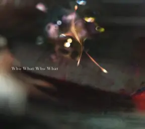 린토시테시구레 - Who What Who What (사이코패스 극장판 주제가)