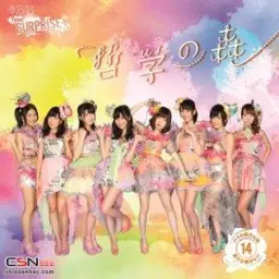 AKB48 チームサプライズ (AKB48 팀 서프라이즈) - 哲学の森 (철학의 숲)