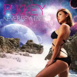 pukkey - Shining Stone