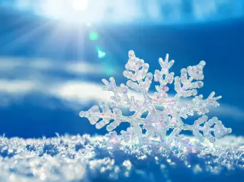 [자작][뮤직쉐이크] Snow flake