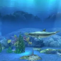 Water Spirit - Water Forever (비트, 신비, 발랄, 신남)