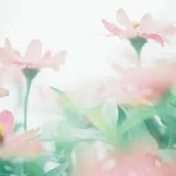 Izzard - In These Trees (Feat. Oneira) (신비, 잔잔, 비트)