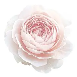 Acoustic Cafe - From There (そこから) (잔잔)