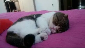 【I've】Treating 2U -wrap up style-【MAKO】 (감동,희망,게임,잔잔,애잔)