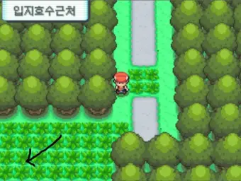 포켓몬스터 다이아몬드 펄 플라티나(D P PT)-213번도로,예지 진실 입지호수근처(잔잔,고요,평화)