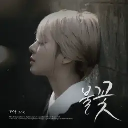 AOA초아 (박초아) Cho A - 불꽃 (Mr제거)