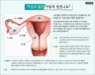 이승연과100인의여자-똥배마사지(감동)