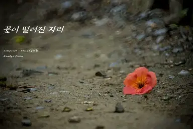 [자작곡] Xmask김대환 - 꽃이 떨어진 자리