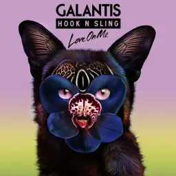 Galantis & Hook n Sling - Love On Me [클럽, 신남, 흥겨움]