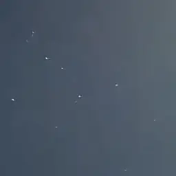 🌙 스타일(평화.비트.)