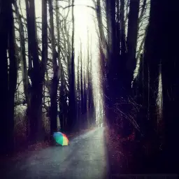 NamInYa - Rainbow Umbrella on Rainy Forest Road alpha ver. (자작, 신비, 평화, 희망, 순수, 비트, 피아노)