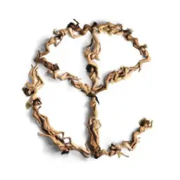 Yellow Claw & DJ Mustard (ft. Ty Dolla $ign & Tyga) - In My Room [트랩]