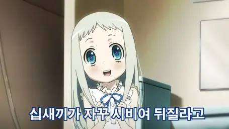 아노하나 시크릿베이스 리코더 코버 [유머,감동,희망,신비,격렬,장엄,진지,웅장,몽환]