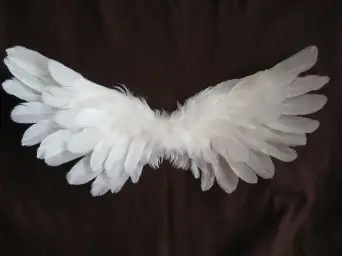 [자작곡] roro - 천사의 오열(Weeping angel) (피아노, 슬픔, 긴장)