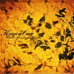 Hiroki Mizukami - Keep aLive (쓸쓸, 비트, 애잔)