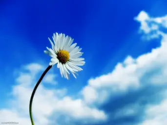 (행복,귀여움,여유,자작곡) - 방과후