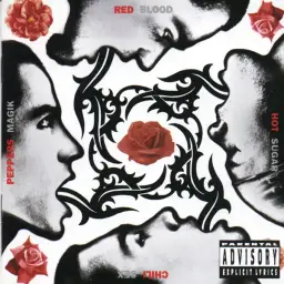 The Power Of Equality-Red Hot Chili Peppers