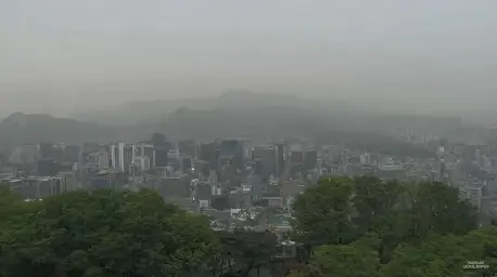 오르간 소리(평화, 애잔)