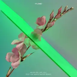 Flume feat. Kai - Never Be Like You (Wave Racer Remix)