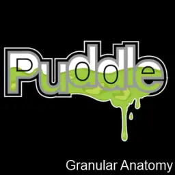 Granular Anatomy (퍼들 (Puddle) OST, 신비, 고요, 잔잔, 활기, 몽환, 인체, 과학, SF, 게임)