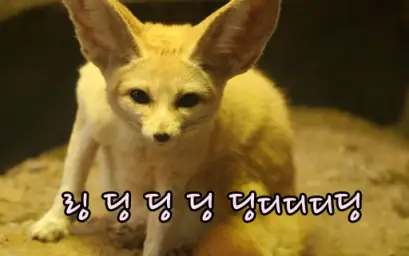 일비스 - THE FOX 하이라이트 (유머, 엽기)