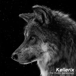 켈레릭스(Kellerix) - The Thief In The Midnight (웅장, 긴박, 신남, 격렬, 장엄, 비트, 흥겨움, 긴장, 비장)