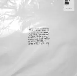 노땡큐에 본헤이터를 입혀보았다