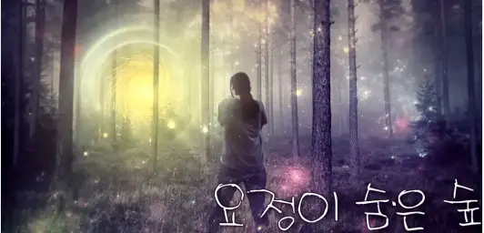 새난 (SeNan) - 요정이 숨은 숲(신비 잔잔 고요 여유)