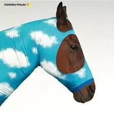 monkey majik - I miss you