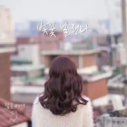 달콤 베개 - 벚꽃 날린다 (Cherry Blossoms Falling) (쓸쓸 우울 잔잔 순수 벚꽃 따뜻 인디)