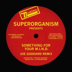 Superorganism - Something for Your M.I.N.D. (Joe Goddard Remix) [비트, 세뇌, 중독]