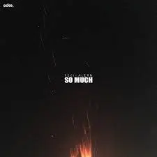 feki - So much (feat. alexa)