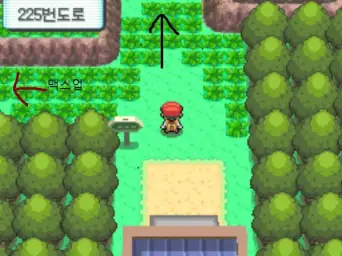 포켓몬스터 다이아몬드 펄 플라티나(D P PT)-225,226번도로(흥겨움 활기 당당)