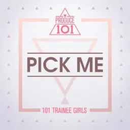 [리코더] PRODUCE 101 - PICK ME