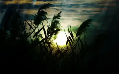 (연습곡) 무익 - by PSI (프시) (쓸쓸, 우울, 잔잔, 피아노)