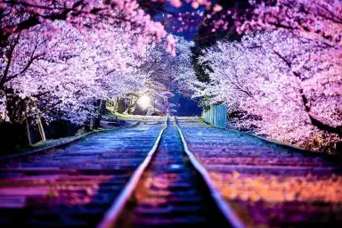 [자작곡] Lazna - blossom (신비,비트,흥겨움,일상,추억,피아노)