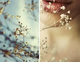 Junpei Fujita - When Flowers Bloom