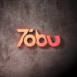 Tobu & Wholm - Motion (신남)