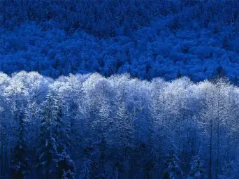 I_NEED_SLEEP SOME(잔잔)(슬픔)(새벽)(아련)
