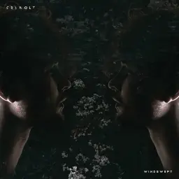 Crywolf - Windswept [활기, 인디, 칠아웃]